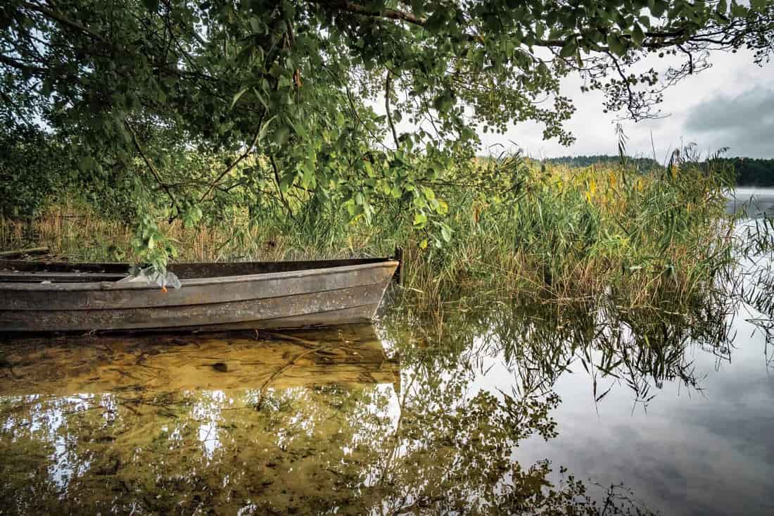 A serene lakeside view with a rustic boat under lush greenery, reflecting natural beauty